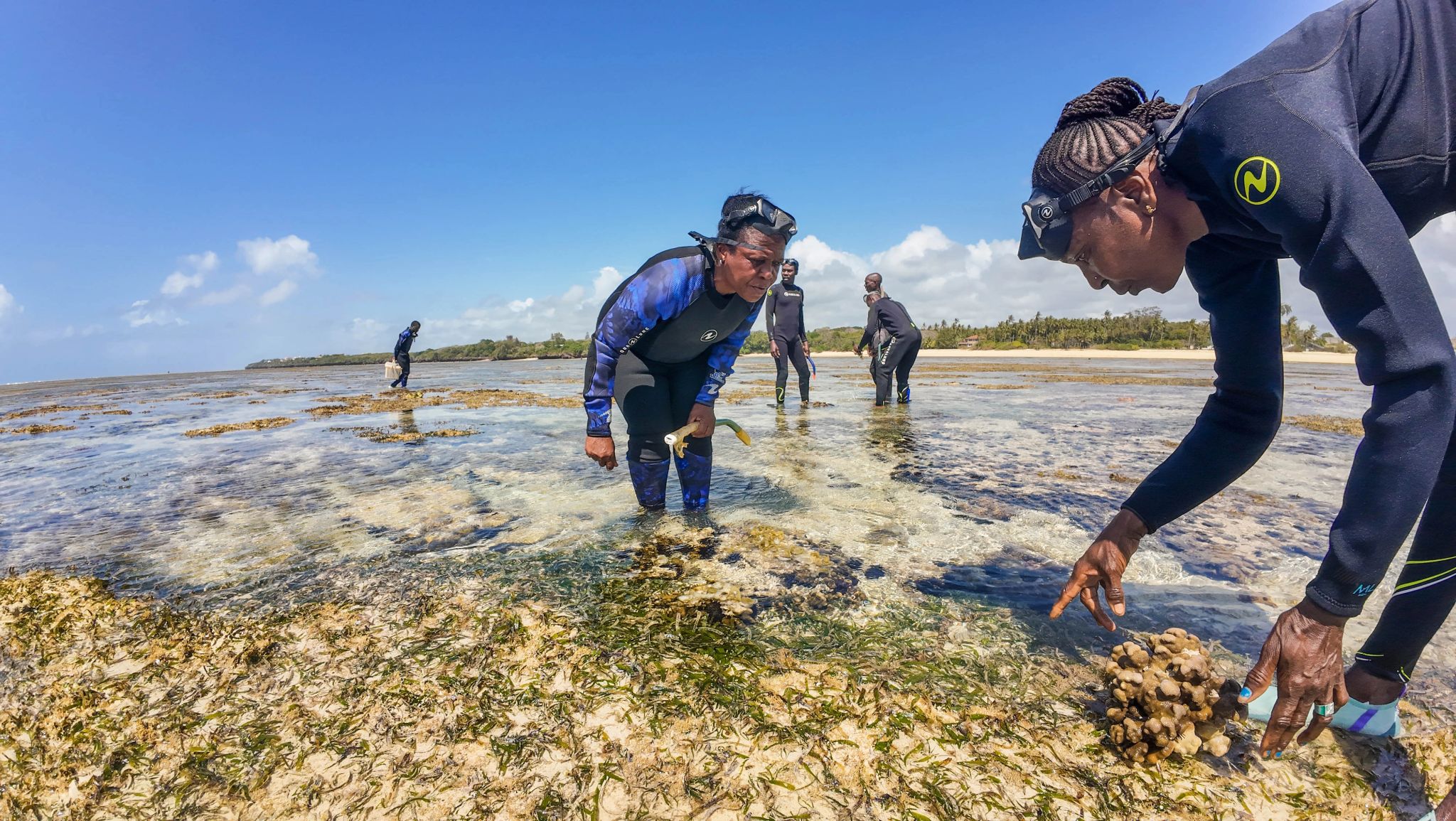 World Ocean Day celebration