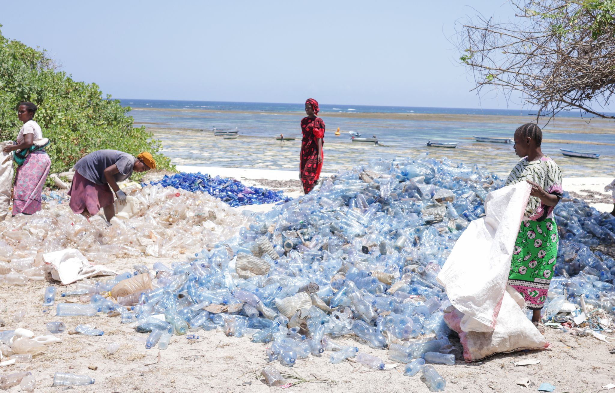 Trash4Cash women sorting plastic